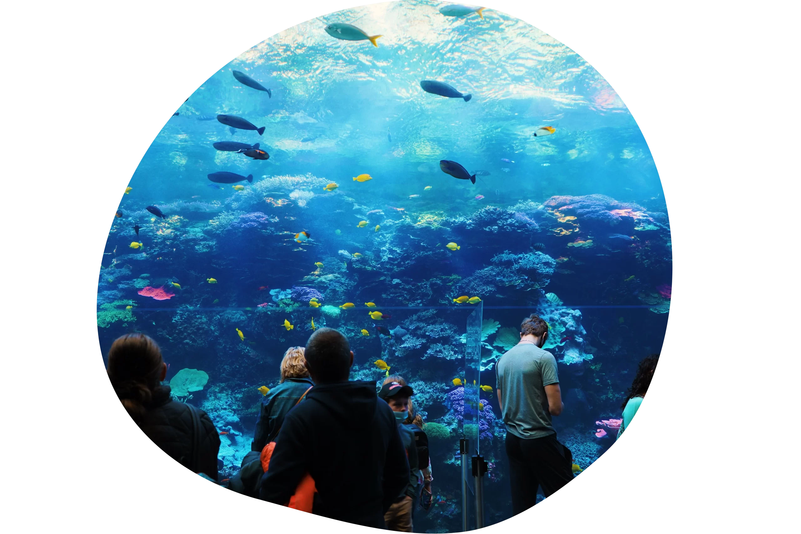 aquario-tour-rio-de-janeiro