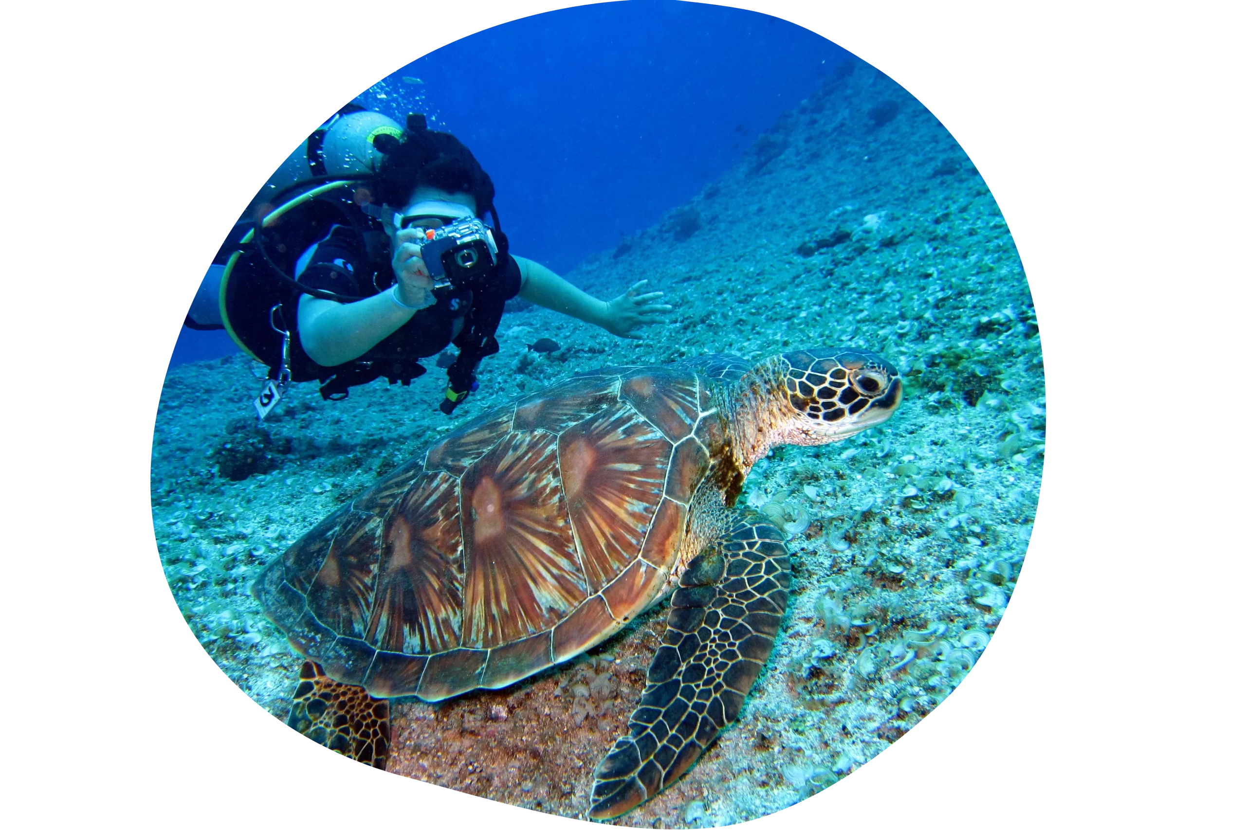 tour-buceo-buzios-meurio